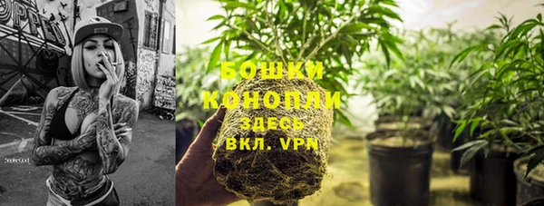 прущие крисы Михайлов