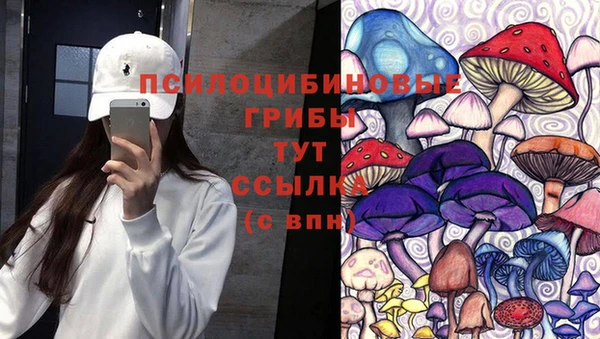 прущие крисы Михайлов